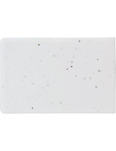 Notas adhesivas de papel de semillas Ecológica Personalizada 10864422