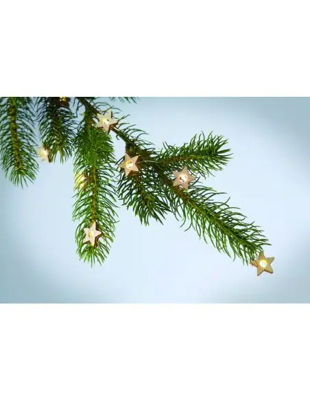 Guirnalda de 20 luces LED Ecológica Personalizada 7CX1462