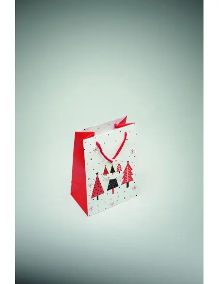 Bolsa de papel pequeña Ecológica Personalizada 7CX1561