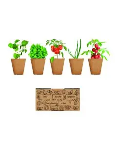 Kit de cultivo de verduras Ecológico Personalizado 7MO6499