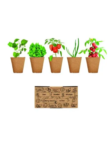 Kit de cultivo de verduras Ecológico Personalizado 7MO6499