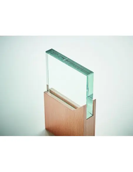 Placa o trofeo de cristal Ecológica Personalizada 7MO6585