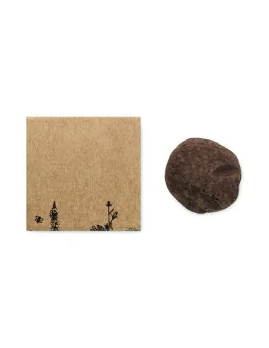 Kit semillas flores de abeja Ecológica...