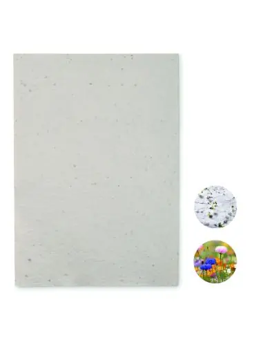 Hoja A4 de papel con semillas Ecológica...
