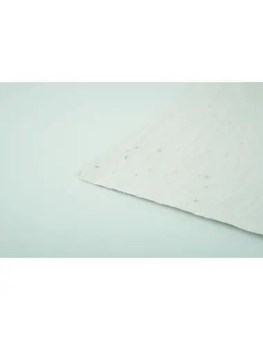 Hoja A6 de papel con semillas Ecológica...