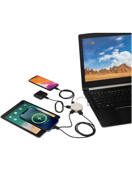 Hub USB de paja de trigo Ecológico Personalizado 6124309