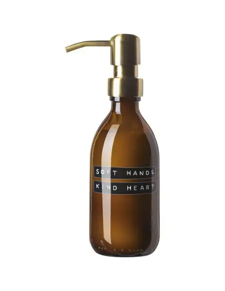 Dispensador de loción para manos de 250 ml Ecológica Personalizada 6126309