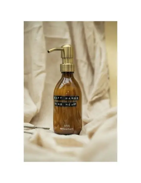 Dispensador de loción para manos de 250 ml Ecológica Personalizada 6126309