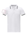 Polo de manga corta con ribete para hombre Ecológico Personalizado 638108 - Imagen 35