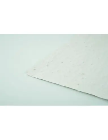 Hoja A5 de papel con semillas Ecológica...