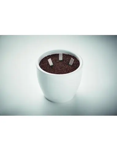 Palitos de semillas Ecológico Personalizado...