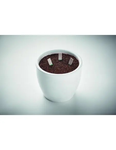 Palitos de semillas Ecológico Personalizado 7MO6927