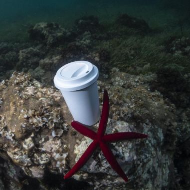 Vaso Ecológico Personalizado 86676