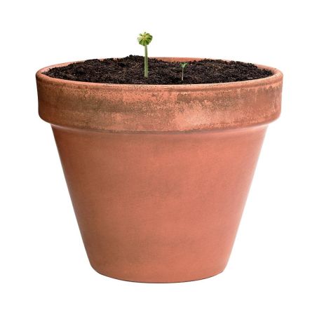 Bombón Ecológico Personalizado 82640