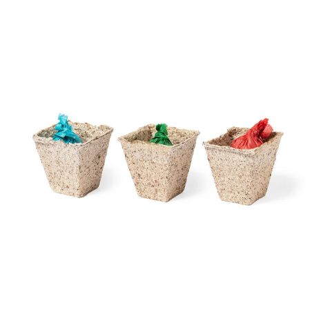 Kit Ecológico Personalizado 82673