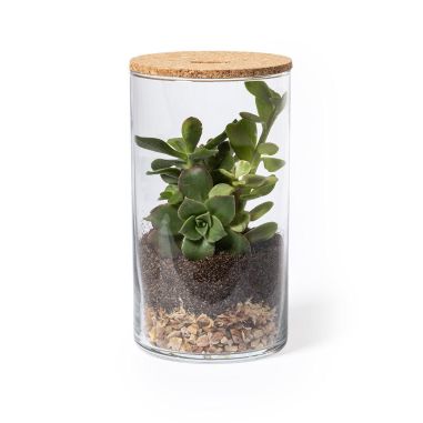 Terrarium Ecológico Personalizado 82692