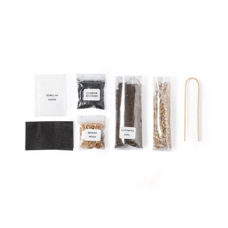 Terrarium Ecológico Personalizado 82692