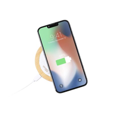 Cargador Ecológico Personalizado 81975