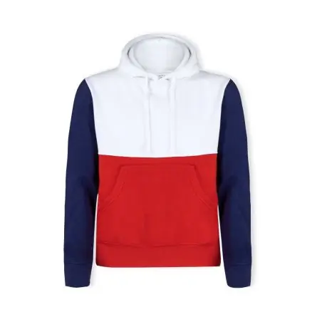 Sudadera tricolor con felpa cepillada y capucha