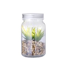 Planta Ecológica Personalizada 820608 - Producto ecológico