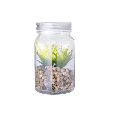 Planta Ecológica Personalizada 820608