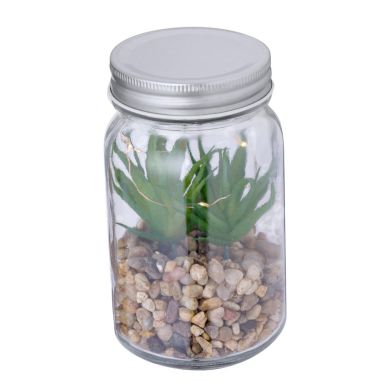 Planta Ecológica Personalizada 820608