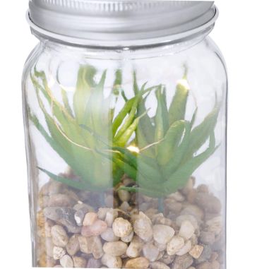 Planta Ecológica Personalizada 820608