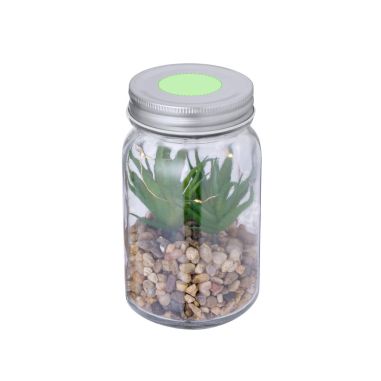 Planta Ecológica Personalizada 820608