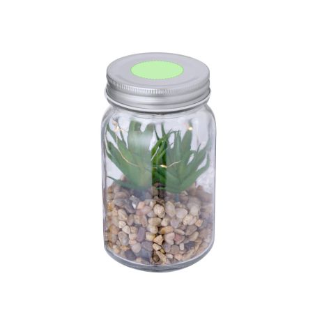 Planta Ecológica Personalizada 820608