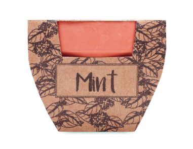 Maceta con semillas de menta Ecológica...