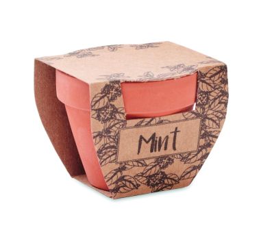 Maceta con semillas de menta Ecológica...