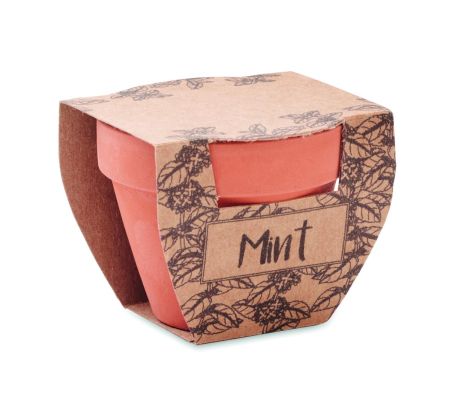 Maceta con semillas de menta Ecológica Personalizada 7MO2218