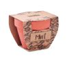 Maceta con semillas de menta Ecológica Personalizada 7MO2218 - Imagen 4