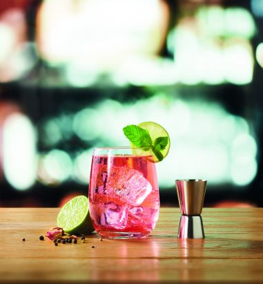 Kit de cóctel de 5 piezas Ecológica...