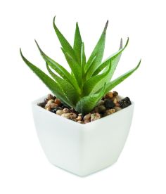 Mini planta artificial Ecológica Personalizada 7MO2852 - Producto ecológico