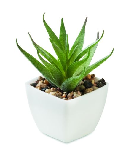 Mini planta artificial Ecológica Personalizada 7MO2852