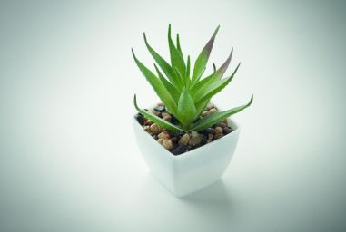 Mini planta artificial Ecológica Personalizada...