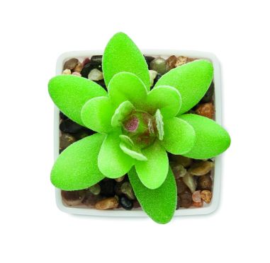 Mini planta artificial Ecológica Personalizada...