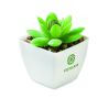 Mini planta artificial Ecológica Personalizada 7MO2854 - Imagen 4