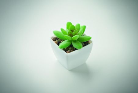 Mini planta artificial Ecológica Personalizada 7MO2854