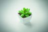 Mini planta artificial Ecológica Personalizada 7MO2854 - Imagen 5