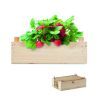 Kit de fresas en caja madera Ecológica Personalizada 7MO6506 - Imagen 1