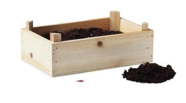 Kit de fresas en caja madera Ecológica...