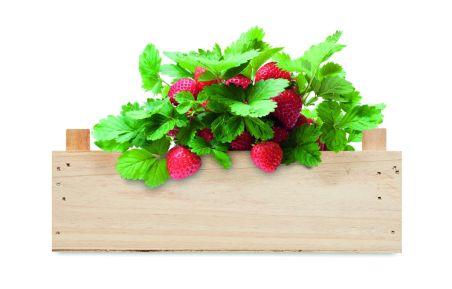 Kit de fresas en caja madera Ecológica Personalizada 7MO6506
