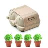 Kit de cultivo en huevera Ecológico Personalizado 7MO6886 - Imagen 2