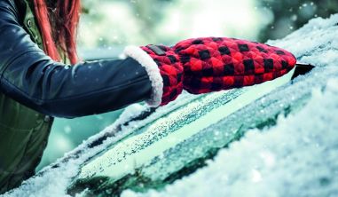 Guante rascador de hielo Ecológico...