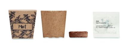 Kit cultivo semillas de menta Ecológico Personalizado 7MO2410