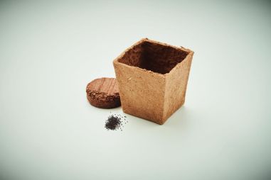 Kit cultivo semillas de menta Ecológico...