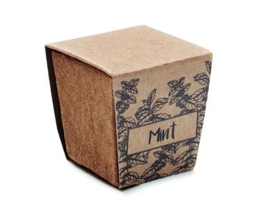 Kit cultivo semillas de menta Ecológico...