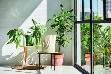 Bolsa compra canvas 270 gr/m² Ecológica...